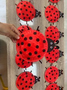 ladybug paper plate craft for kids to make