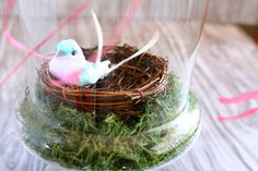 a small bird sitting on top of a nest in a glass dome filled with moss