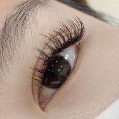 Natural Lashes Asian Eyes, Natural Asian Eyelash Extensions, Eyelash Claim, Classic Lash Extensions Asian Eyes, Hybrid Lash Extensions Asian Eyes, Lash Extensions Styles Asian Eyes, Asian Eye Lash Extensions, Feline Eyes Natural, Lashes On Asian Eyes