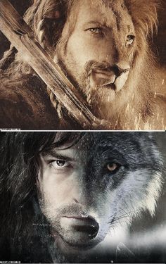 Woah Fili Hobbit, Woodland Realm, Photoshop Work, Thorin Oakenshield, Heroic Fantasy, Bilbo Baggins, Tauriel, Thranduil