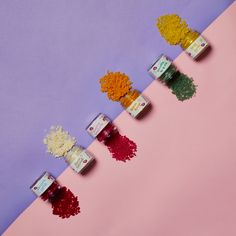 five jars filled with different colored flowers on a pink and purple background