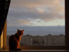 an orange cat sitting on top of a window sill looking out at the city