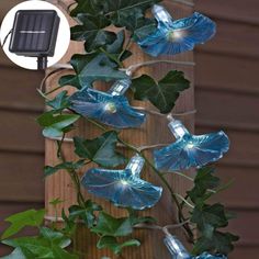 blue flowers are growing on the side of a wooden fence with ivys around them