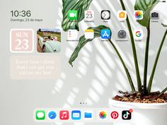 a potted plant sitting on top of a table next to an iphone and other app icons