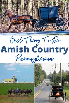 an amish country town with horses and buggies on the road, trees in the background