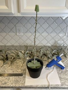 a small potted plant sitting on top of a counter next to a hair dryer