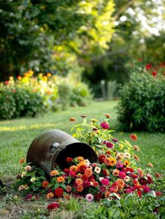 a garden with lots of flowers in the grass and an old metal barrel on the ground