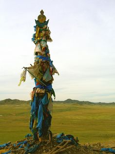 a pile of clothes sitting on top of a dry grass field