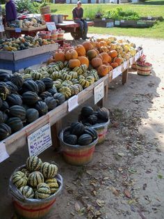 there are many different types of pumpkins on display