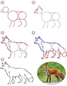 how to draw a fox step by step with pictures and instructions for beginner kids