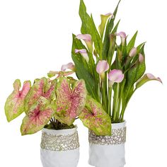 two white vases with pink and green flowers in them