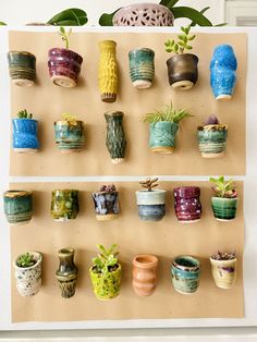 there are many pots on the wall with succulents and plants in them