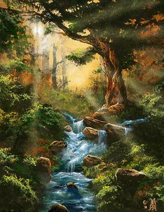 a painting of a stream in the woods with sunlight coming through the trees and rocks