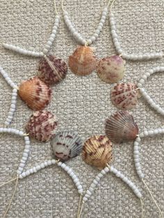 several seashells are arranged in a circle on the ground with beads and thread