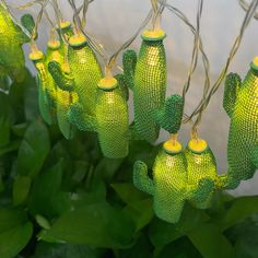 green cactus lights are hanging from the wire in front of some plants and water behind them