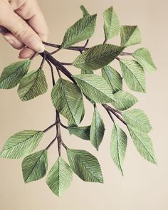 a person is holding some green leaves in their hand and it looks like they are making something out of paper