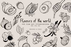 various hand drawn fruits and vegetables on a white background with the words flavors of the world