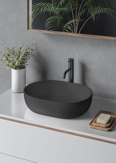 a bathroom sink sitting on top of a counter next to a plant and soap dispenser