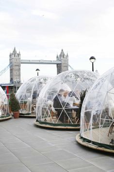 an instagram photo of people sitting inside glass domes