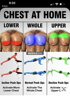 the chest and lower back muscles are highlighted in this poster, which shows how to use different