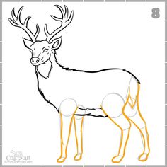 how to draw a deer for kids step by step