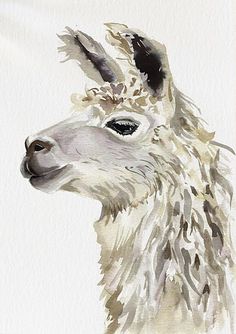 a watercolor painting of an alpaca