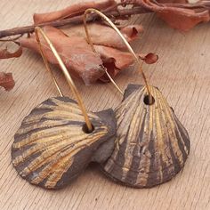 two seashells sitting on top of a wooden table next to leaves and twigs