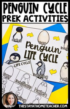 penguin life cycle worksheet for prek and k - 2 with text overlay