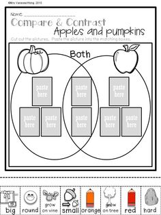 the worksheet for comparing apples and pumpkins