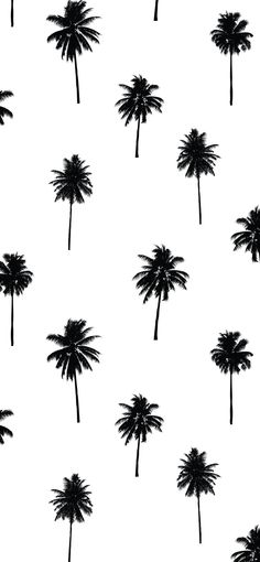 black and white silhouettes of palm trees on a white background, seamless pattern