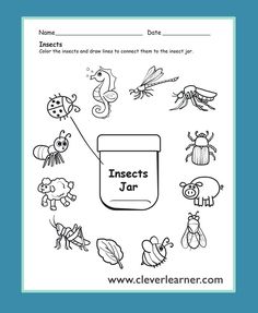 insects and jars worksheet for kids