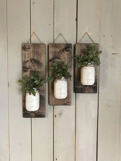 three mason jars with plants in them hanging on a wall