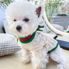 a small white dog wearing a sweater on top of a table