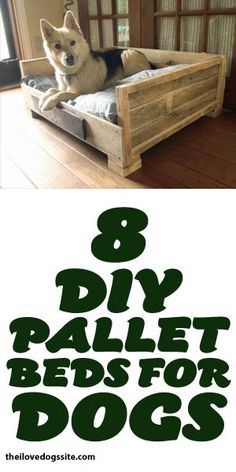 a dog laying on top of a bed with the words 8 diy pallet beds for dogs