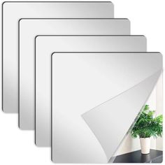 four white frames with a potted plant in the middle and one on the left