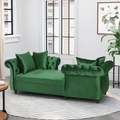 a living room with two green couches and a potted plant