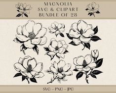 the magnolia svg and clipart bundle is shown