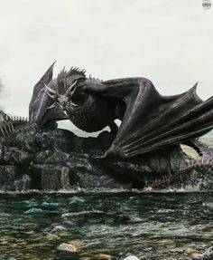 a large black dragon sitting on top of a rock next to a body of water