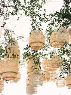 several hanging baskets with plants growing from them