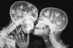 two people are kissing in the dark with butterflies on their heads and hands behind them