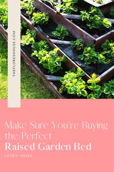 a garden bed with plants growing in it and the words make sure you're buying the perfect raised garden bed