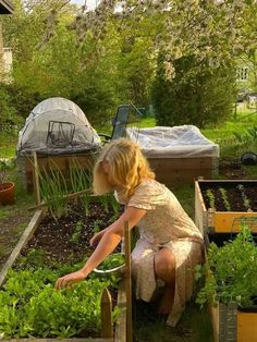 a woman kneeling down in the middle of a garden filled with green plants and vegetables