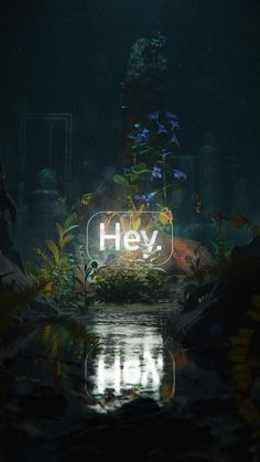 an aquarium filled with fish and plants next to a sign that says h e v