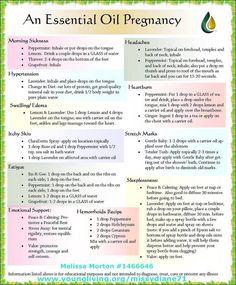 An Essential Oil Pregnancy. To order young living products go to www.youngliving.com enter #1615372 Or contact me at my website: www.angiebellarosa.com for more information. I would be happy to help you learn more about how essential oils can improve your health! Pregnancy Oils, Essential Oil Spray Recipes, Oil Therapy, Essential Oils For Pregnancy, Essential Oil Spray