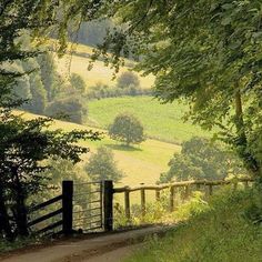 a dirt path leading to a lush green hillside