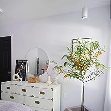 a bedroom with a white dresser, mirror and plant in the corner next to it