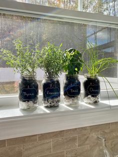 three jars with plants in them sitting on a window sill