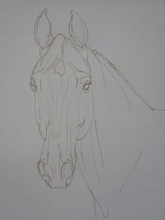 a pencil drawing of a horse's head