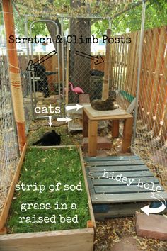 an outdoor cat enclosure with grass in it