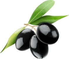 black olives with green leaves on white background stock photo and royalty images for commercial use